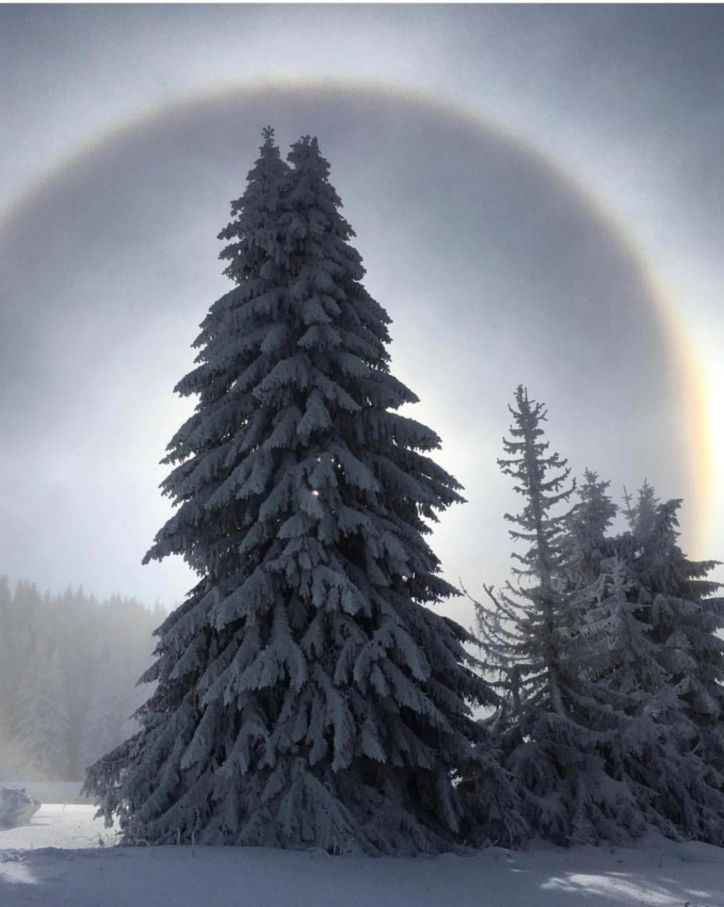 Silver Mountain Milmari Kopaonik Exteriör bild