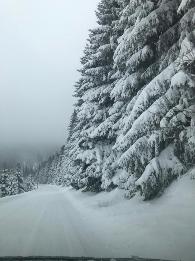 Silver Mountain Milmari Kopaonik Exteriör bild